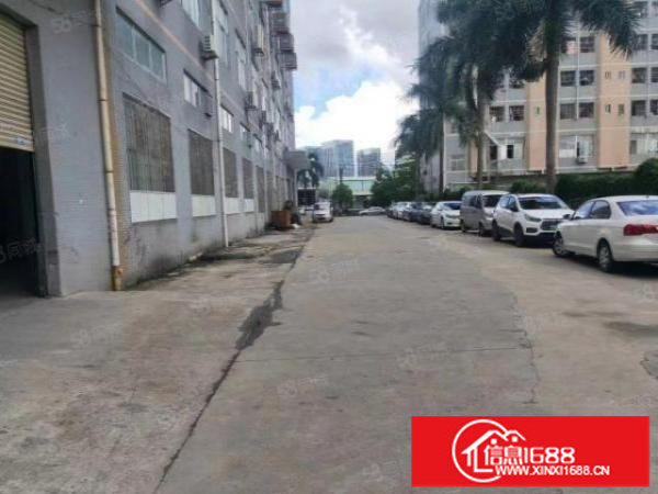 布吉上李朗地铁口楼上带装修厂房出租1000平方可分租