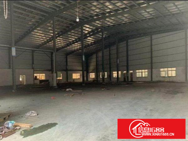 龙岗区坪地新出1600钢构，滴水8米，形象好，无公摊