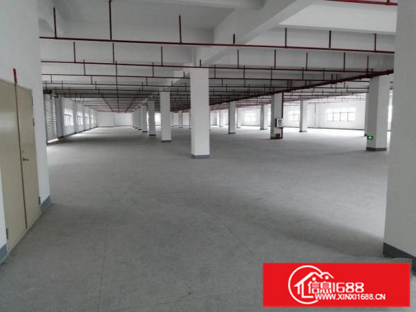 二楼整层面积2800平方，带红本