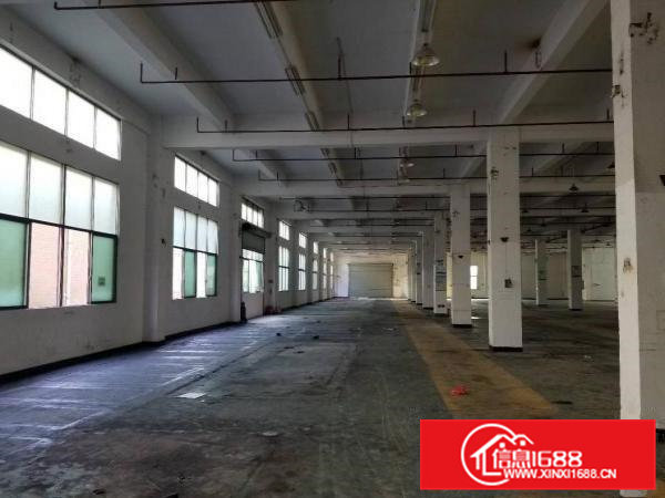 原房东出租6米高标准一楼带现成办公室装修1500平方