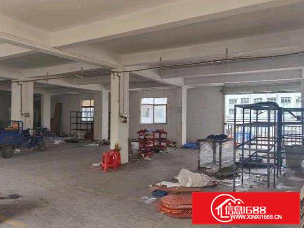 低价招租新出厂房,装修高档,低价招租