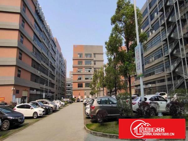 凤岗原房东高新产业园一二楼各2600平方可分租