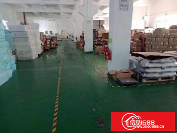 沙井新出一楼1280平带装修厂房出租