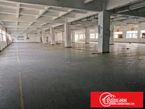 深圳市坪山区带红本花园式产业园出