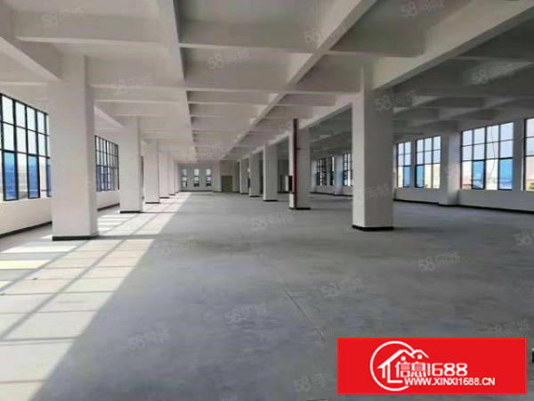 南栅全新原房东厂房出租，面积大小可租