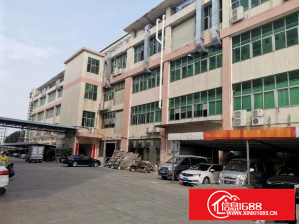 虎门龙眼工原房东标准一楼整层1280平方出租门口空地2700