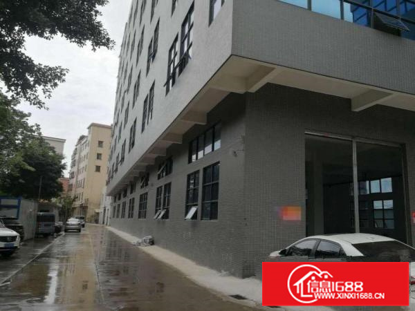 里水镇中心区全新标准厂房出租可以分租600平方起租