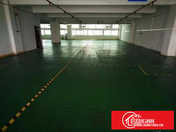 一楼仓库750平，32元/平方，带喷淋，独立洗手间