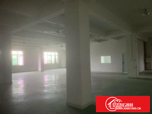 常平镇苏坑村临主路带装修主线到车间