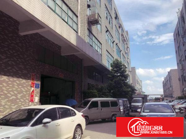 楼村花园式厂房新出一三四楼每层700平方带装修招租