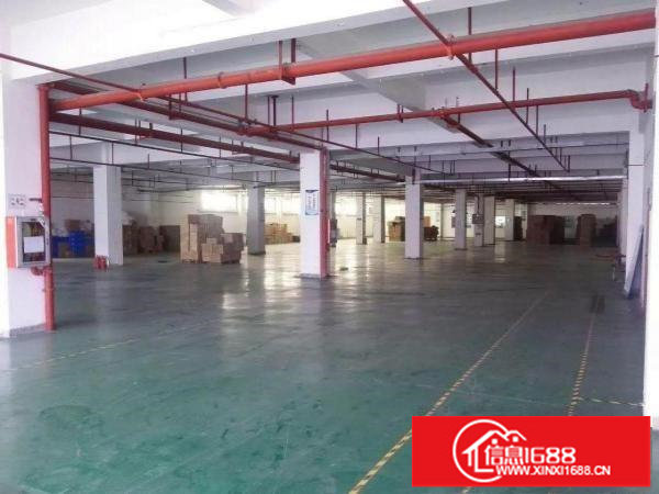 丹竹头C口，一楼高7米厂房1700平可分租850平500平