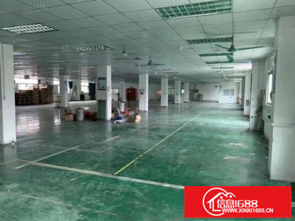 平湖二楼1100平方出租带装修