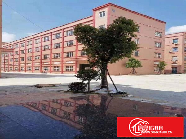 东坑镇塔岗工业区新出600平方标准厂房带装修