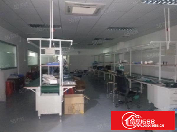 松岗沙浦围新出楼上430带装修有办公室装修低价出租