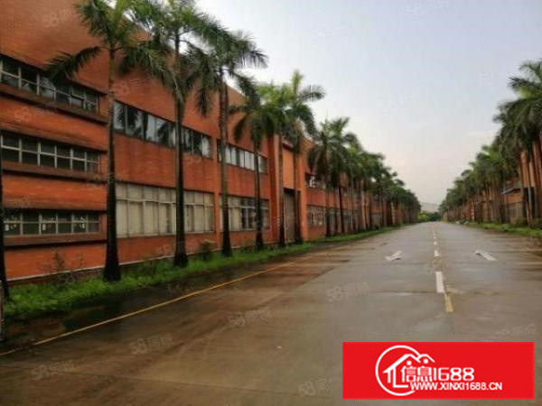 花园式北滘工业区厂房5000方中高12米空地大