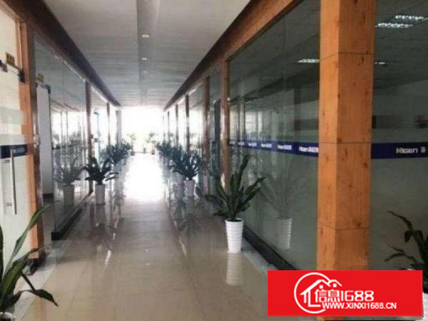 业园红本标准厂房出租2000平方