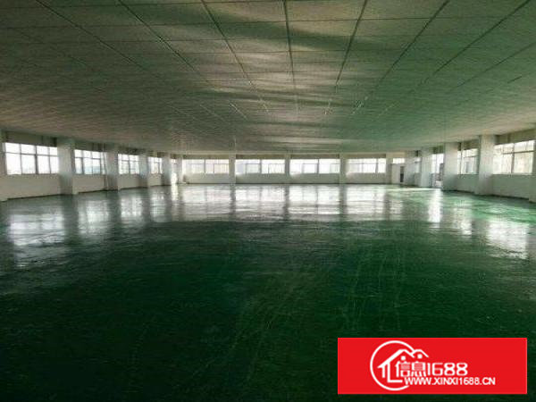 大坪1200 1630平方米楼上厂房/地坪漆和吊顶