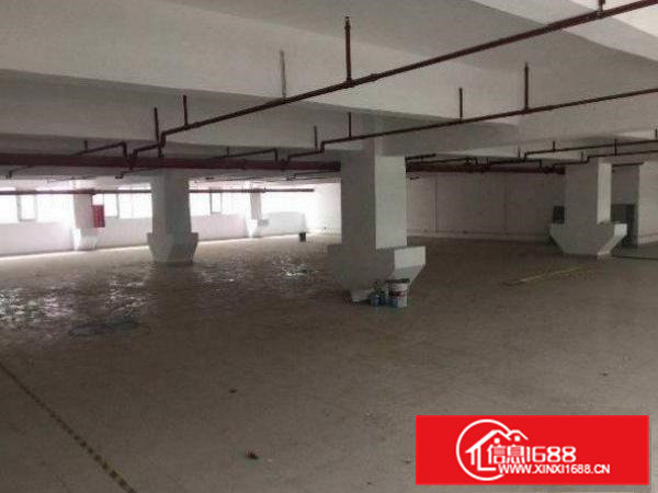 常平还珠沥超豪华装修7米层高一楼3000平厂