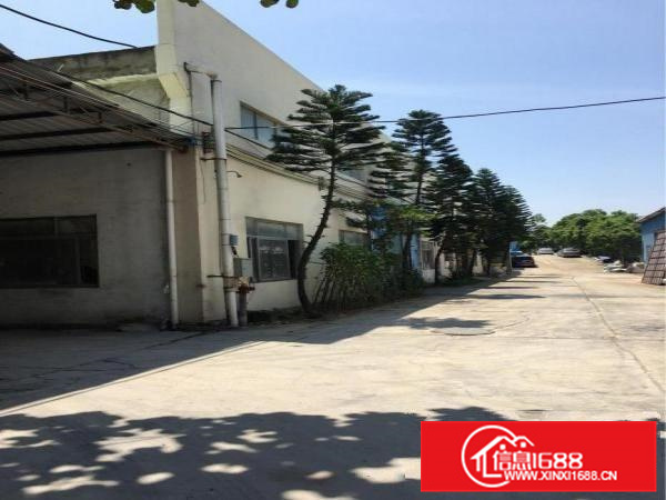 惠阳新墟独栋钢构厂房