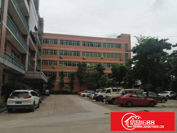 （出租）六约300平方精装修厂房仓库写字楼办公出租