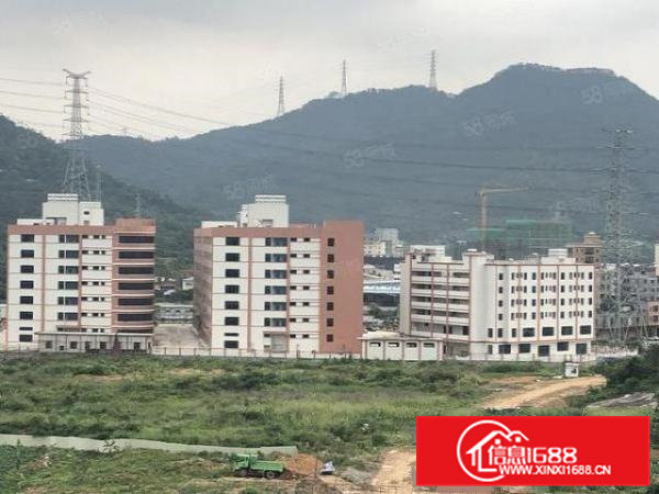 大岭山红本厂房业主直租，大小面积租金12.8