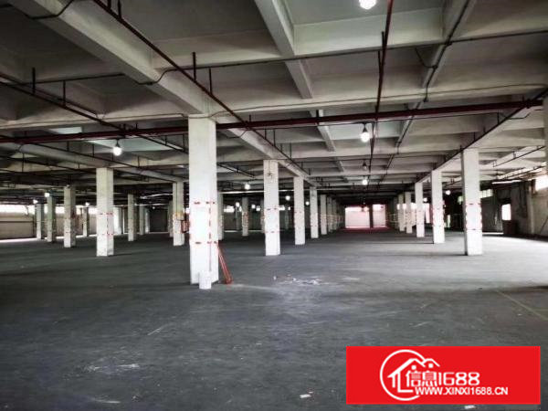 高埗镇新出独门独院大型工业园区招租，厂房可以整租，分租