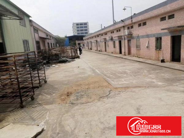 一手房东砖墙到顶滴水7米单一层直接出租，没有中间商赚差价！