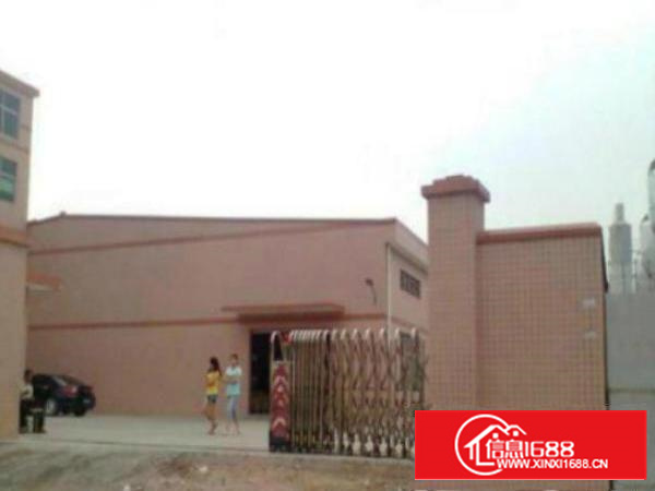 万江新出单层独院1500平方招租，可分租，配套齐全