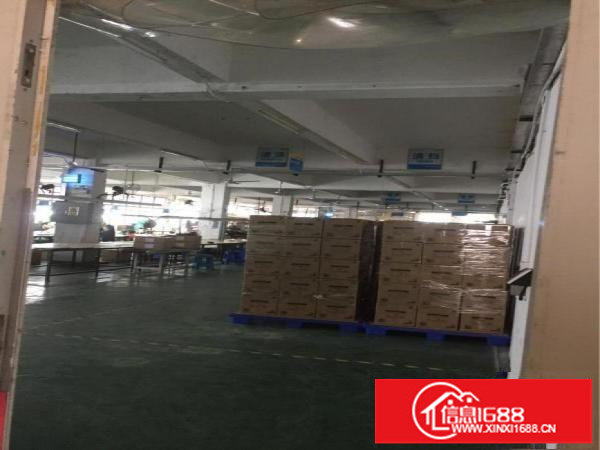 上雪科技园新岀厂房带简单装修，300至1300平米