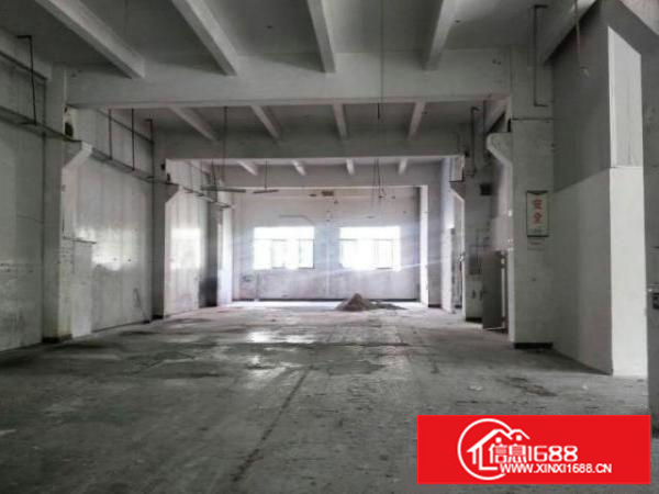 新出1楼厂房800平适合做汽修、模具、五金
