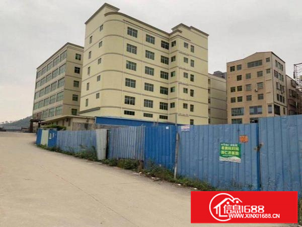 惠阳新圩原房东厂房出租