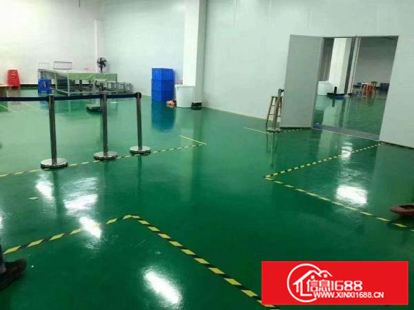 寮步百业城附近新出楼上1000平方，现成办公室，地坪漆