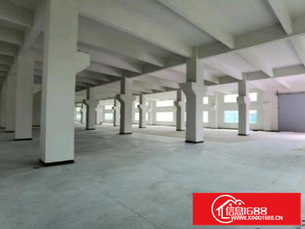 全新带牛角标准厂房滴水高6.5米