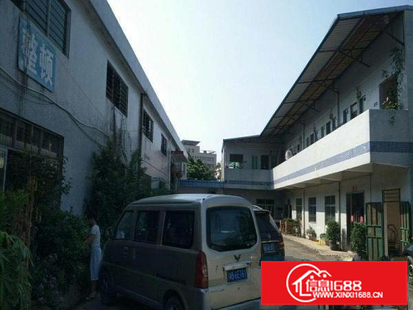 横沥新出原房东钢构独院工业厂房共3200平出租（可做小污染）