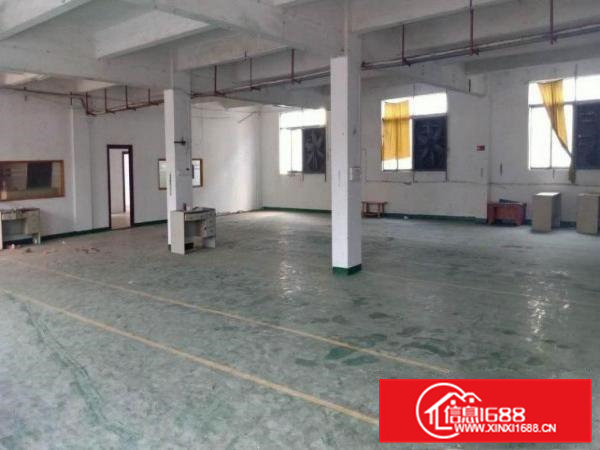 雁田原房东三楼整层出租