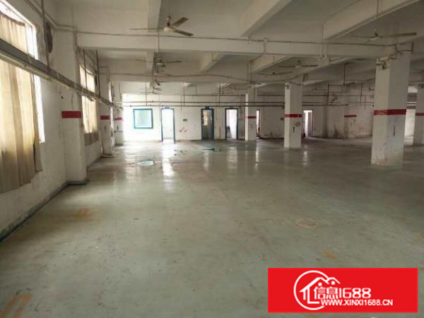 仲恺陈江独院厂房2600平方，可以分租、出入方便