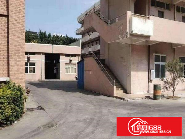 四村空出一楼实际面积1000平方独栋厂房出租