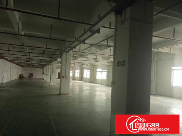 石排塘尾标准厂房分租楼上1050平方，有地坪漆办公室装修