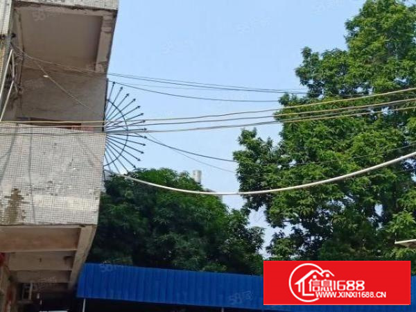 金凤凰新出独院厂房二楼整层800平米一手房东直接出租带装修