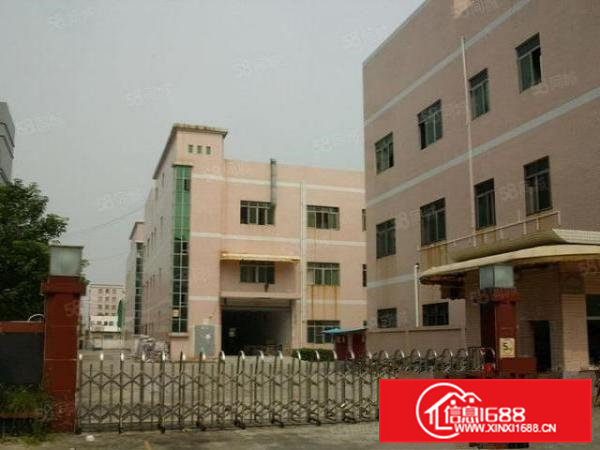 大朗镇沙步工业区B栋2楼1000平方精装修免转让费