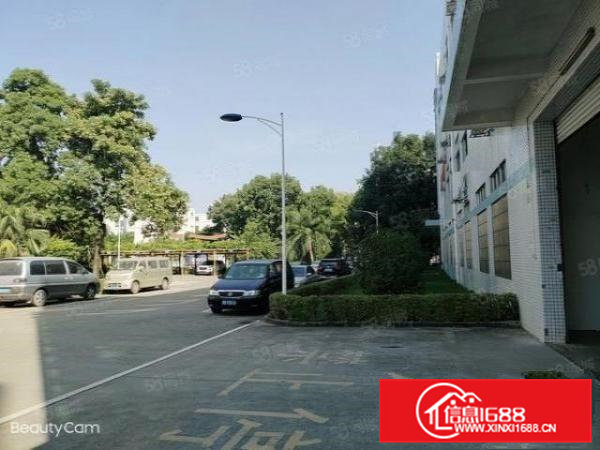 凤岗靠深圳标准厂房1楼空出5000平,500平起分