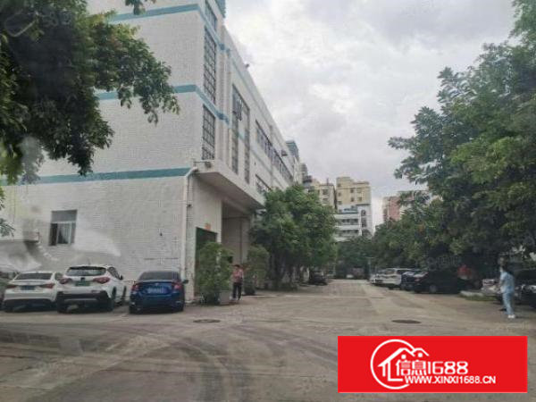 沙井东环路靠国道新出小面积厂房575平方带装修办公室出租