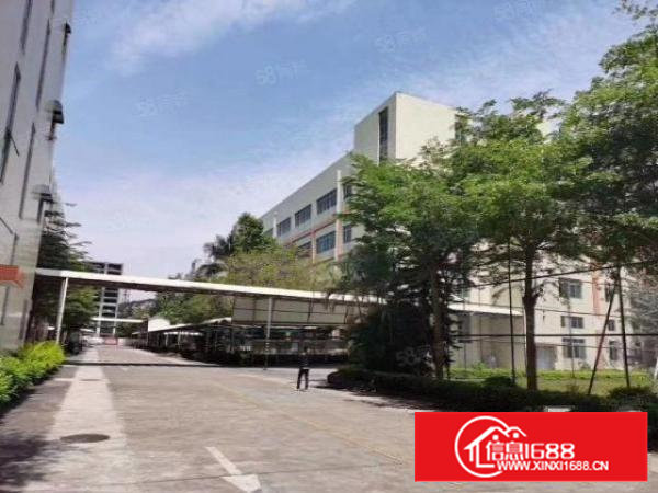 沙井主干道边红本花式独院26000平低至20元平