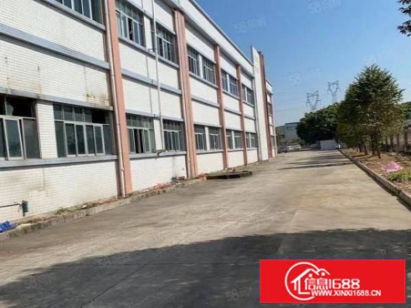 桥头原房东独院厂房6500形象漂亮首层高7米空地大