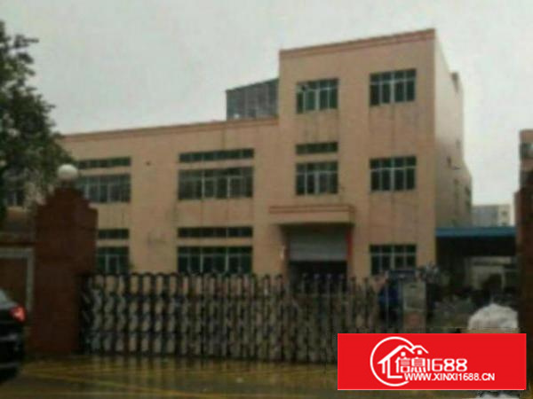 万江楼上标准厂房带电梯800平米出租水电齐全有宿舍