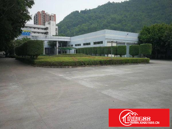 大亚湾原房东单一层钢架带红本分栋、整体招租