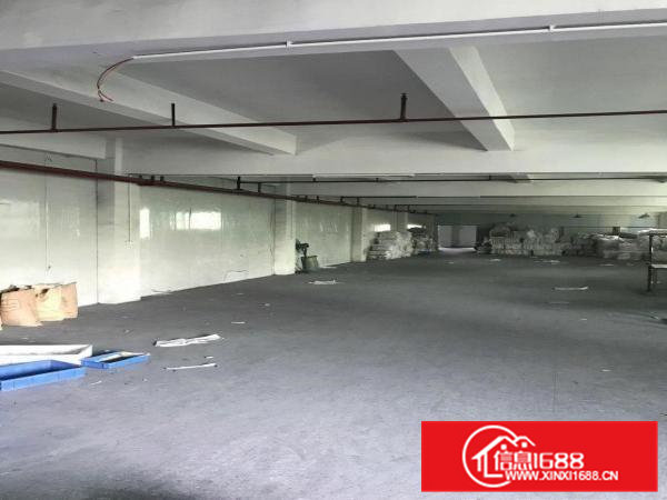 租金7000，600平标准厂房招租，黄金地段，到平湖观澜超近