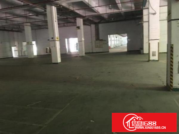 独门独院新出来龙华空地大层高6米