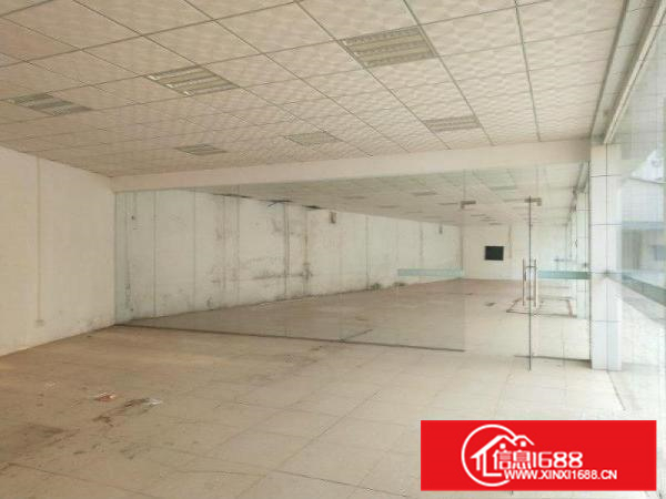 马安新乐标准单层钢构810平米出租货柜车进出便利