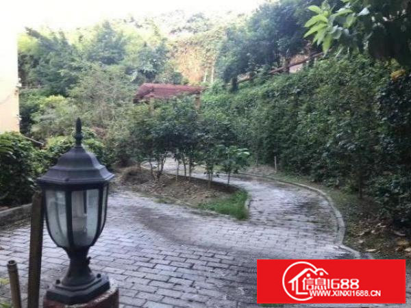 横岗花园式独院厂房适合高新研发、电子、电商贸易、直播网红基地